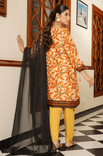Amber Leaf – Contrast Trouser Edit – Premium Printed Lawn 3 Piece Suit