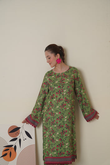 Linen Dress 5 |  2 Piece Unstitched