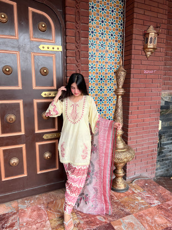 CHAISELED | Lawn Embroidered | 3 Piece Stitched
